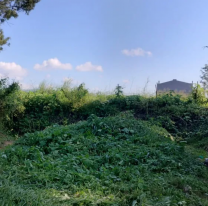 Vecinos de Palpalá denuncian que viven entre cloacas y a oscuras