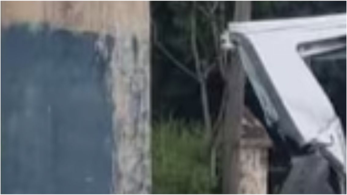 Un BMW chocó contra un poste y murieron dos jóvenes de 23 años