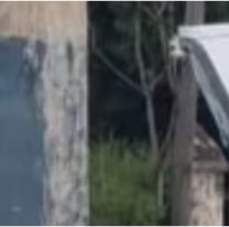 Un BMW choc&oacute; contra un poste y murieron dos j&oacute;venes de 23 a&ntilde;os