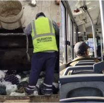 Feriado en Jujuy: cómo funcionan los servicios municipales este martes