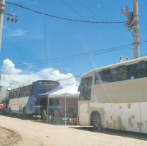 Bronca en Humahuaca: colectivos coparon las calles y desataron quejas en pleno Carnaval