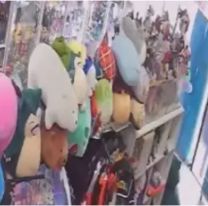 Despiadado robo a local de anime norteño: "Casi quedan en patas"