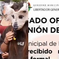 Reunión de therians en Libertador: insólito comunicado de la Municipalidad