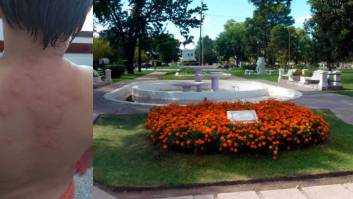 Carnaval violento: le tiraron un balde con hormigas a un nene