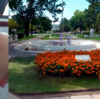 Carnaval violento: le tiraron un balde con hormigas a un nene 