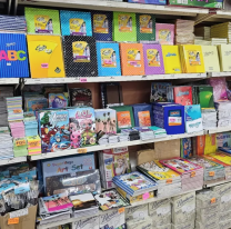 Una familia juje&ntilde;a necesita $300 mil por hijo para mandarlo a la escuela con &uacute;tiles