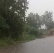 [HORROR] Encontraron a una mujer sin vida en un bald&iacute;o y detuvieron a su pareja