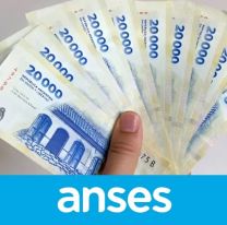 Paso a paso: cuál es la "fórmula" para cobrar más de $600.000 de ANSES en marzo