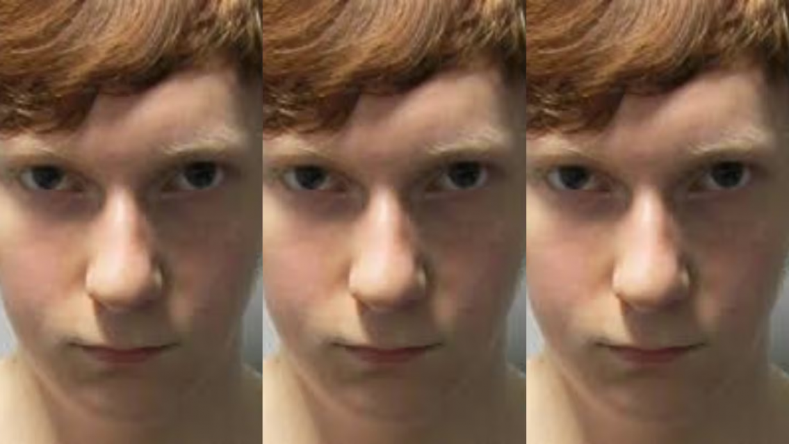 Se fanatiz� con una serie, hizo lo que hac�a el actor y termin� asesinando a su novia