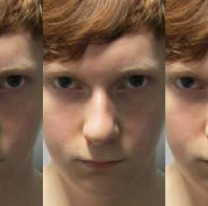 Se fanatizó con una serie, hizo lo que hacía el actor y terminó asesinando a su novia