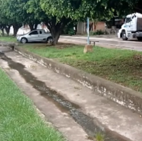 Jujuy: una joven fue arrastrada casi dos cuadras por la correntada en Libertador