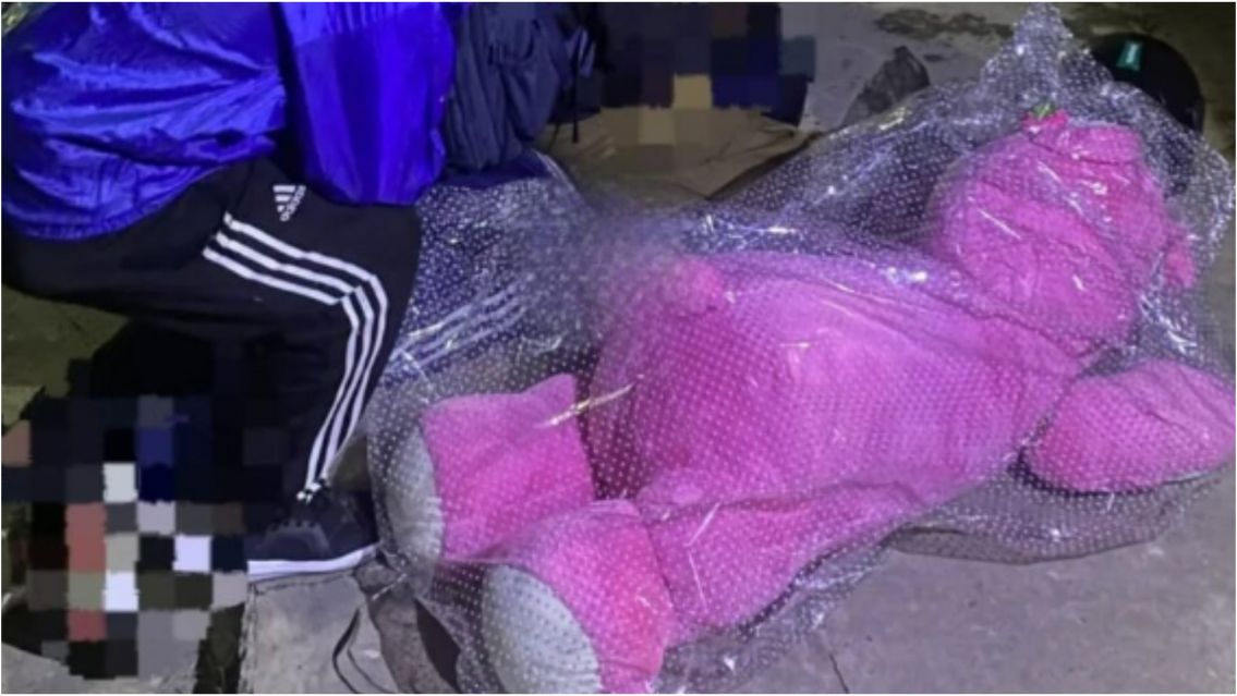 Ni Romeo Santos se anim�: juje�o "rom�ntico" cay� tras robarse un peluche