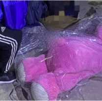 Ni Romeo Santos se animó: jujeño "romántico" cayó tras robarse un peluche