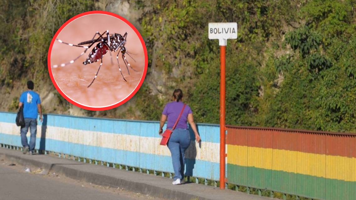 Alerta roja por Chikungunya en la frontera: Bolivia confirmó 61 casos y 300 con síntomas