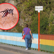 Alerta roja por Chikungunya en la frontera: Bolivia confirmó 61 casos y 300 con síntomas