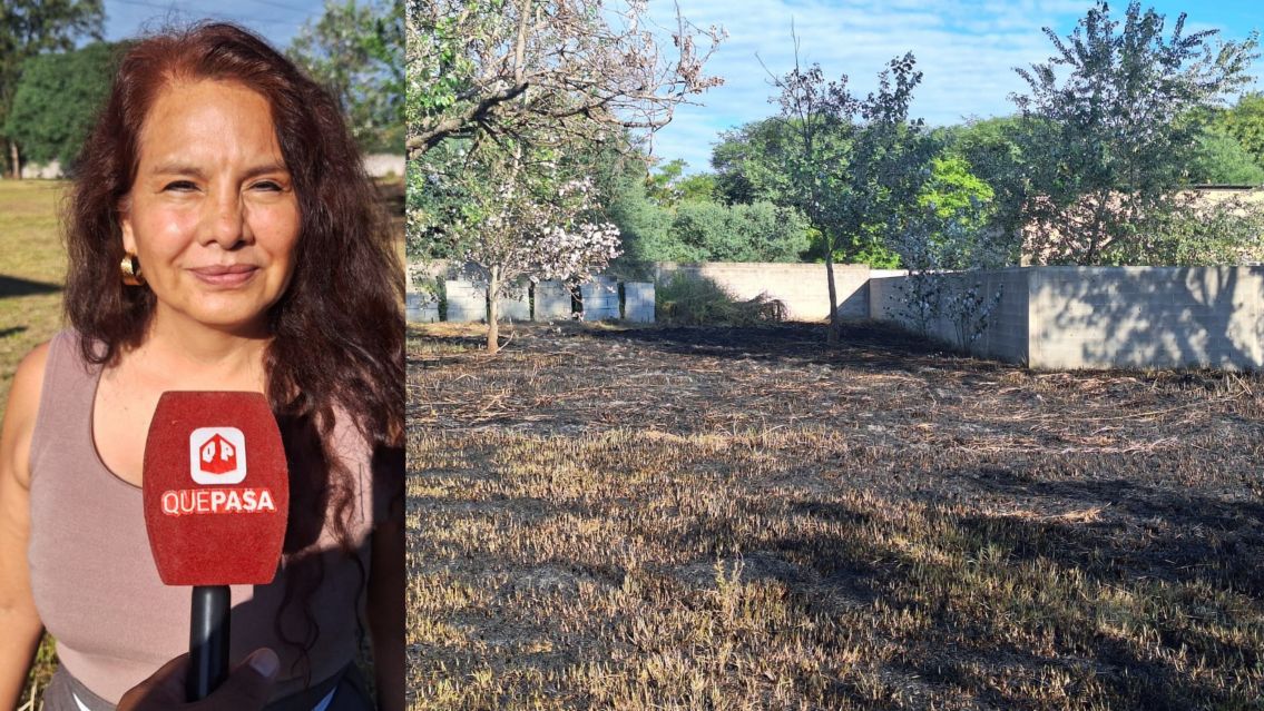 Fuego fuera de control a metros de una escuela jujeña: quemaban un panal y casi provoca una tragedia