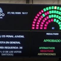 El Senado aprobó la ley que baja la edad de imputabilidad a los 14 años