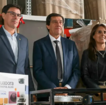 Inversi&oacute;n en Educaci&oacute;n: Jujuy destin&oacute; 180 millones de pesos para equipar comedores escolares