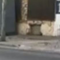 Carnaval tr&aacute;gico: un motociclista muri&oacute; por una soga atravesada en la calle