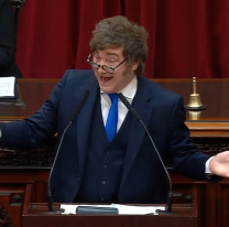 "Estamos saliendo del pozo": Las frases más fuertes de Milei ante el Congreso