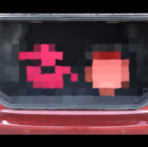 Jujeño tenía chanchos puestos "así nomás" en el baúl del auto y eran robados