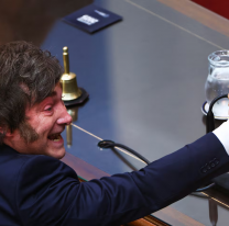 Qué otras reformas le esperan a la Argentina: uno por uno los anuncios de Milei