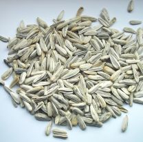 Una nena de 5 años murió tras ahogarse con semillas de girasol