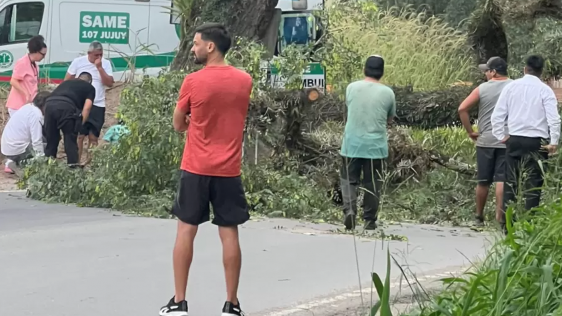 Temporal en Jujuy: una rama cay� sobre un vecino en Alto La Vi�a y termin� en el hospital