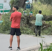 Temporal en Jujuy: una rama cay&oacute; sobre un vecino en Alto La Vi&ntilde;a y termin&oacute; en el hospital