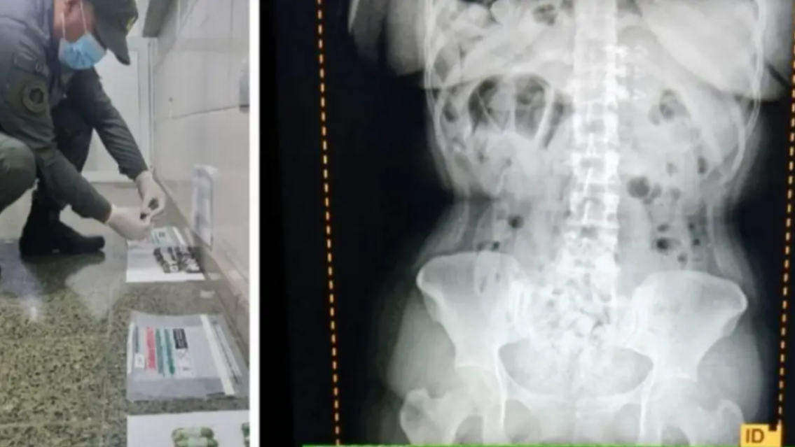 Camellos bolivianas fueron detenidas en ruta norteña: 198 cápsulas en la panza