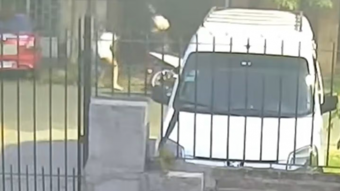 Machirulo dice que le metieron los cuernos y "por eso" le disparó a su novia