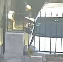 Machirulo dice que le metieron los cuernos y "por eso" le dispar&oacute; a su novia