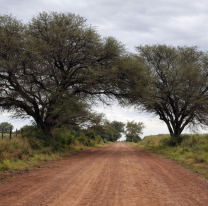 URGENTE: gritos, desesperaci&oacute;n y un hombre muerto en Jujuy