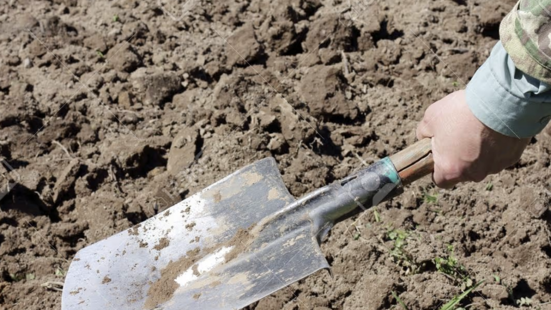 Agarró la pala pero no para trabajar, hizo lo peor que un hombre puede hacer