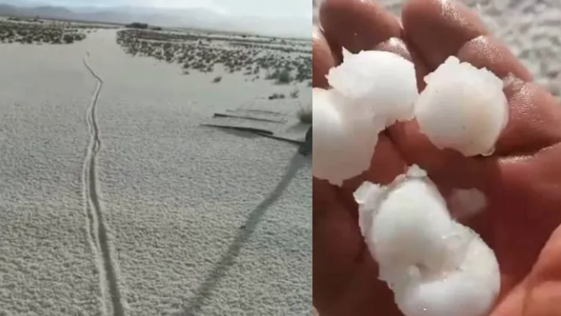 Temporal en Jujuy: una fuerte granizada mat� animales y cort� algunas rutas