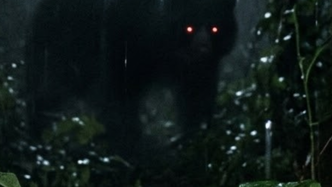 Reapareci� en Jujuy "el guardi�n de los cerros" y le sacaron varias fotos