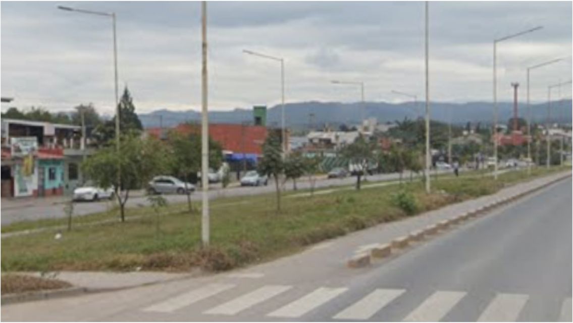 Indignación en Jujuy: motociclista habría atropellado a una perrita y la abandonó