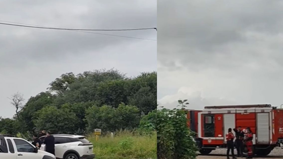 FOTO: CAPTURA INFORMATE BIEN PERICO