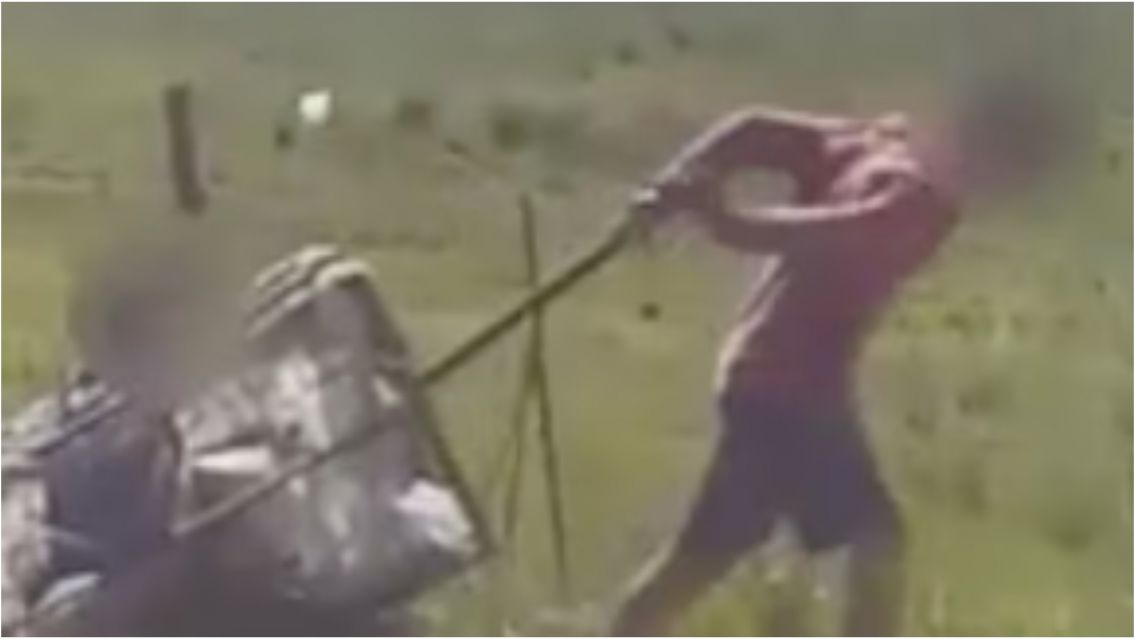 Los obligaban a trabajar y dormir con perros: así vivían 13 chicos en un hogar