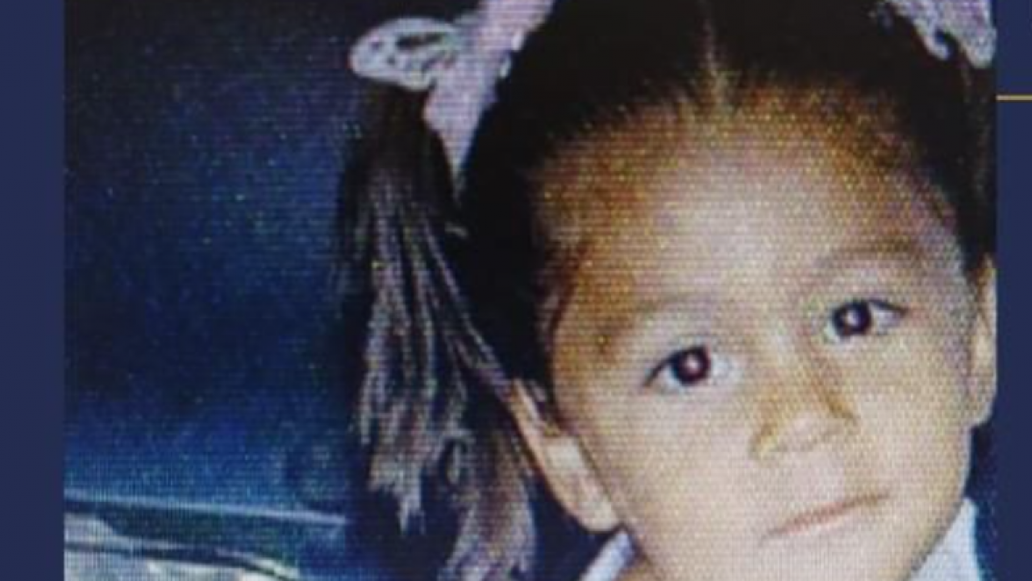 Activaron Alerta Sofía por una nena de 2 años desaparecida en Córdoba