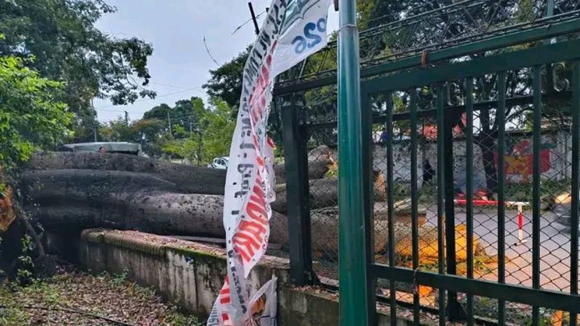 FOTO: EL PERIODISTA LIBRE