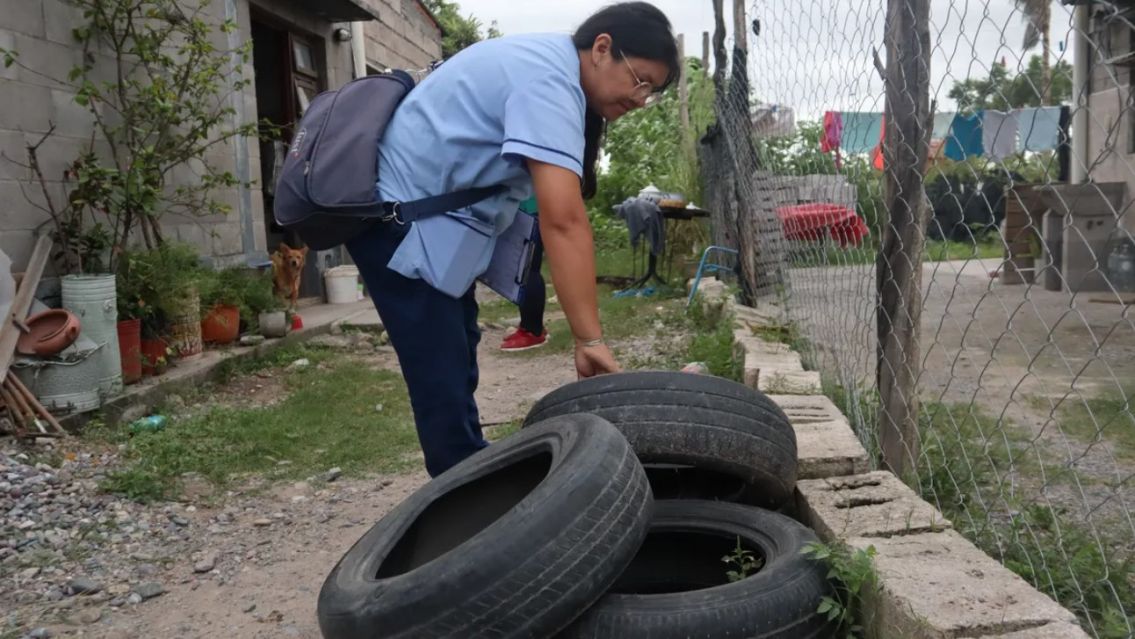Ya son 12 los casos de chikungunya en Jujuy y piden extremar cuidados