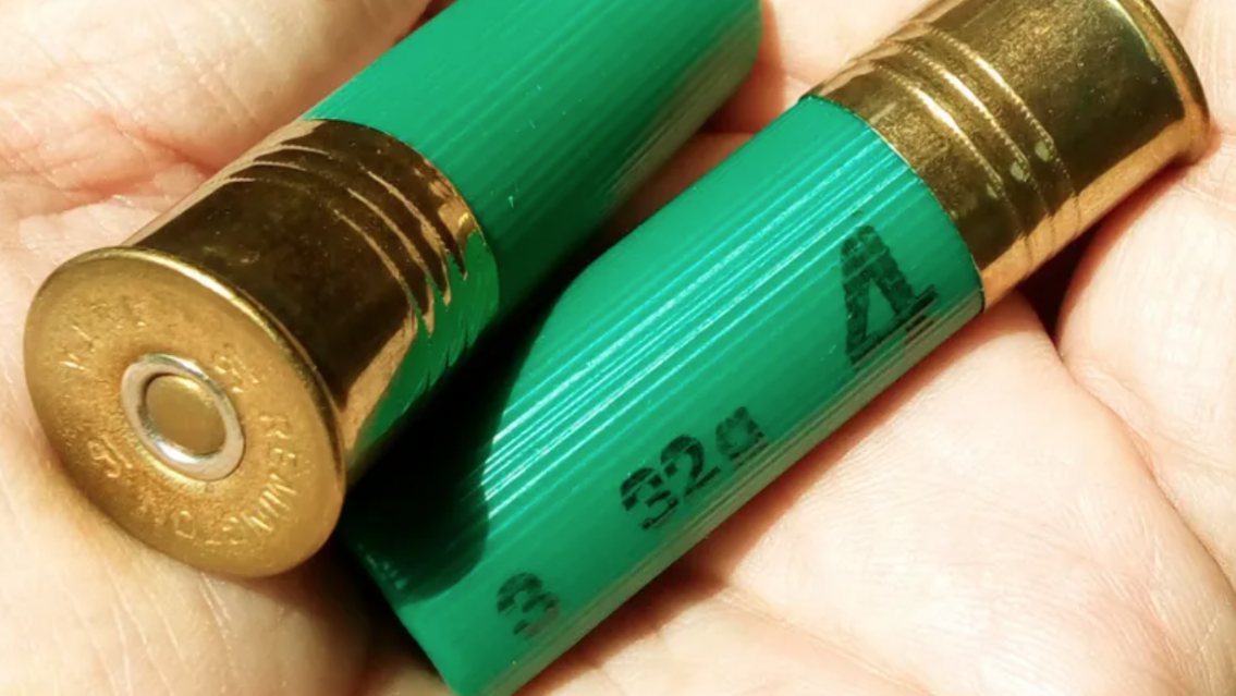 Miedo en una escuela de Jujuy: encuentran un cartucho de escopeta y tuvo que ir la policía