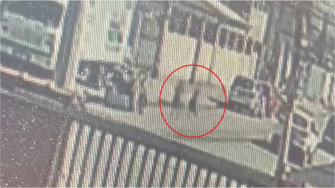 Conmoci�n total: buscaban a dos nenes y los hallaron sin vida en un auto