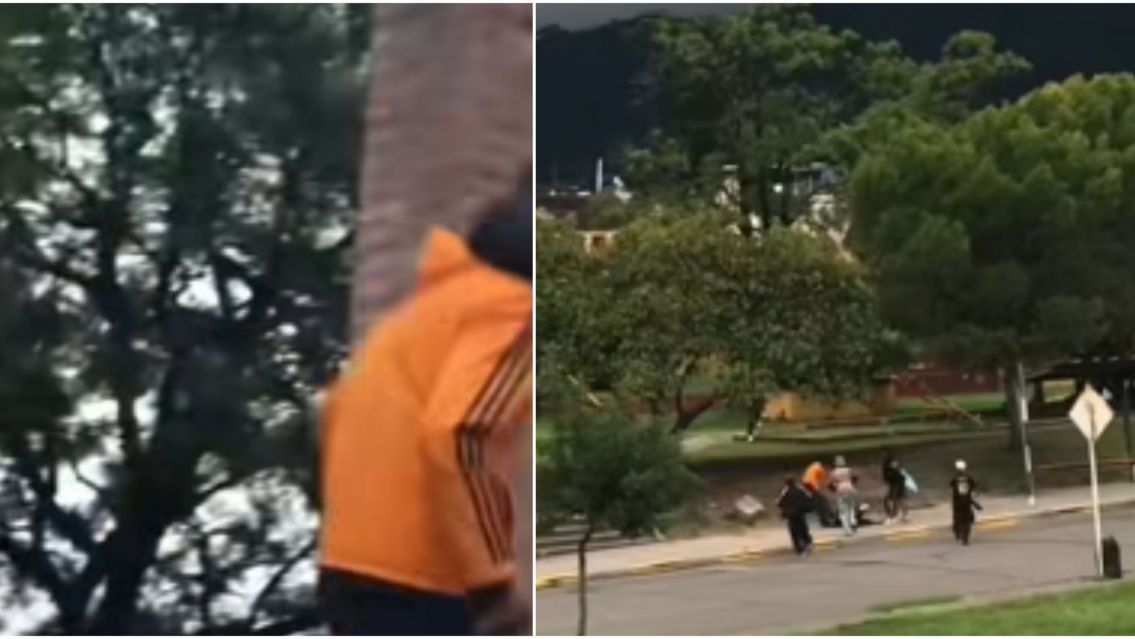 Brutal ataque en Plaza de los Inmigrantes: un joven fue golpeado por una patota