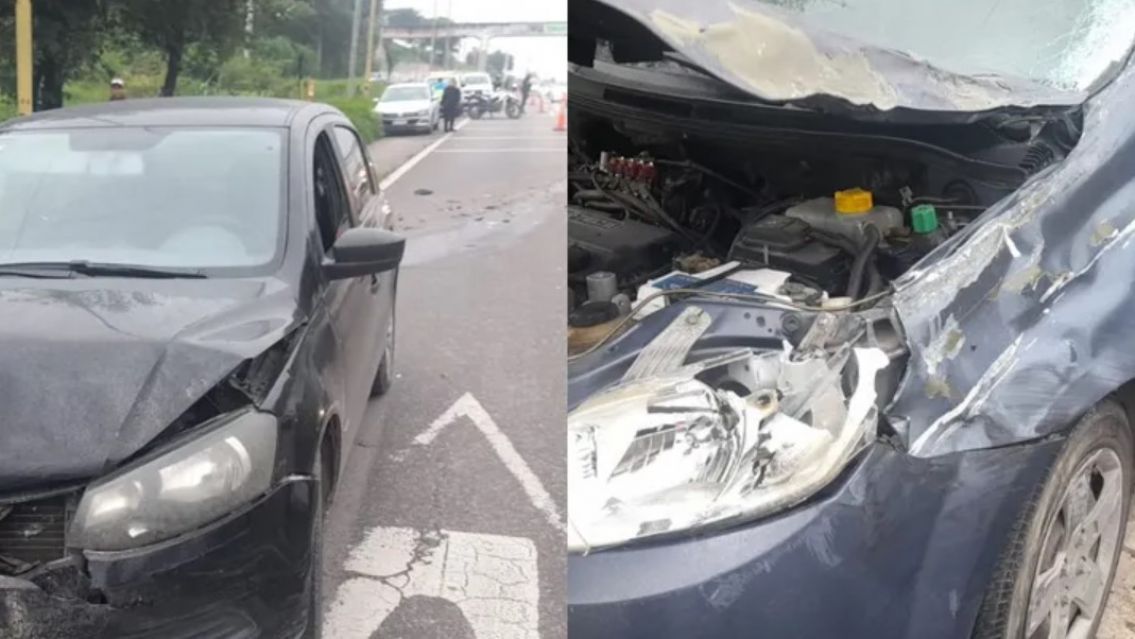 Un perro se cruzó y se armó un lío bárbaro: triple choque en la bajada de Alto Comedero