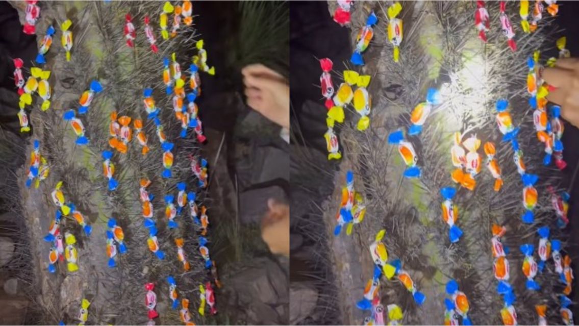 El tierno gesto de una juje�a con los peregrinos de Punta Corral: "Buen camino"