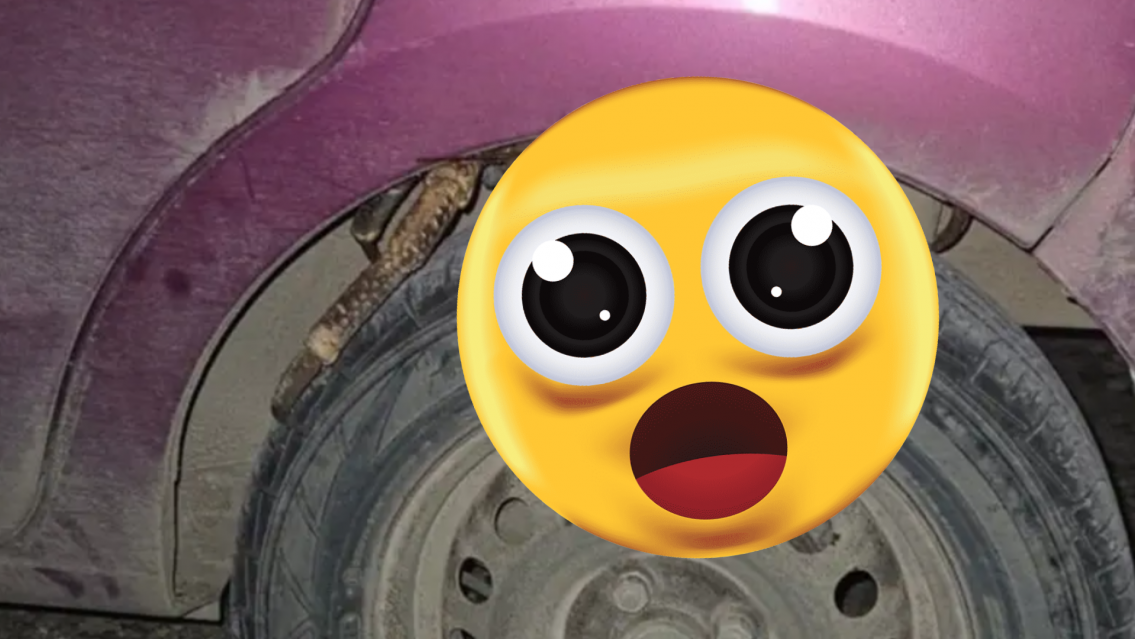 Fue a buscar su auto y quedó paralizada: encontró una escena de terror en la rueda