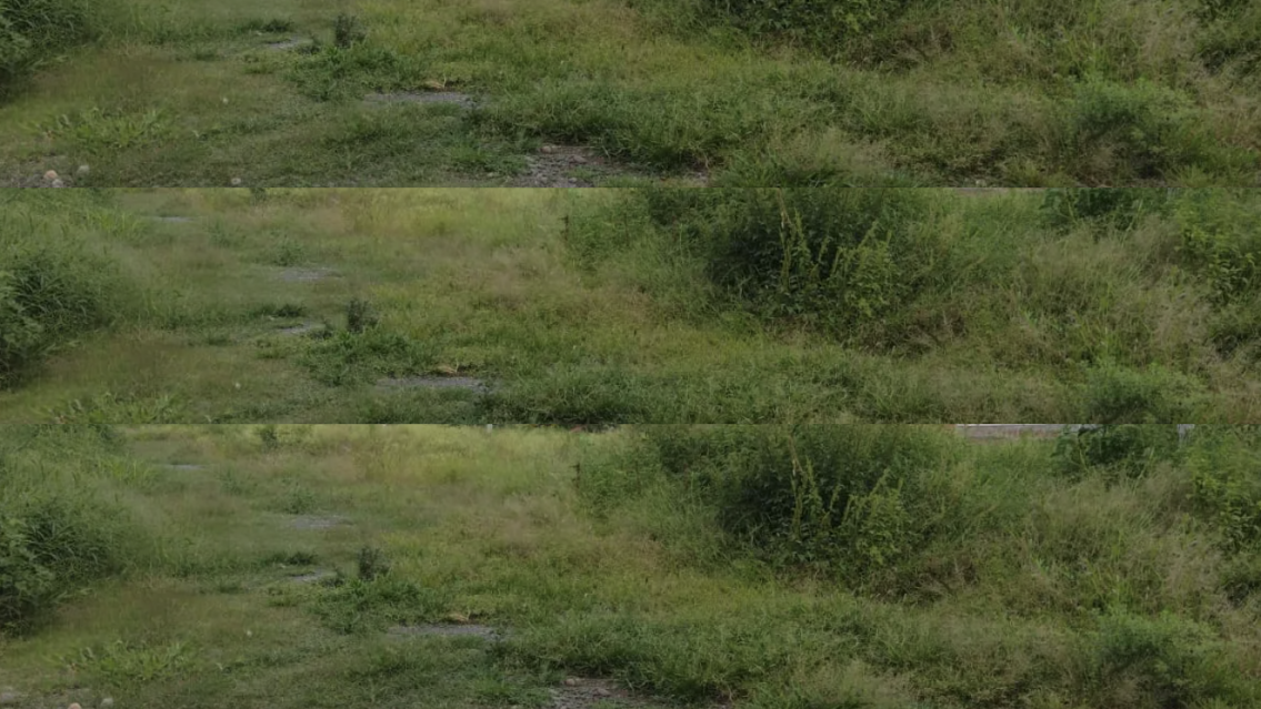 Fumigación fatal: norteños esparcieron los productos y hubo muertes