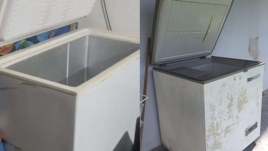 Fue a la casa de su novio y descubrió un cuerpo en el freezer